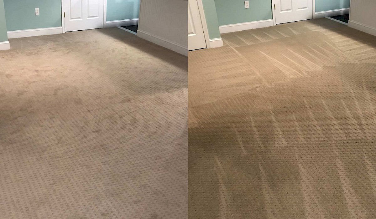 Steam cleaned rug before and after